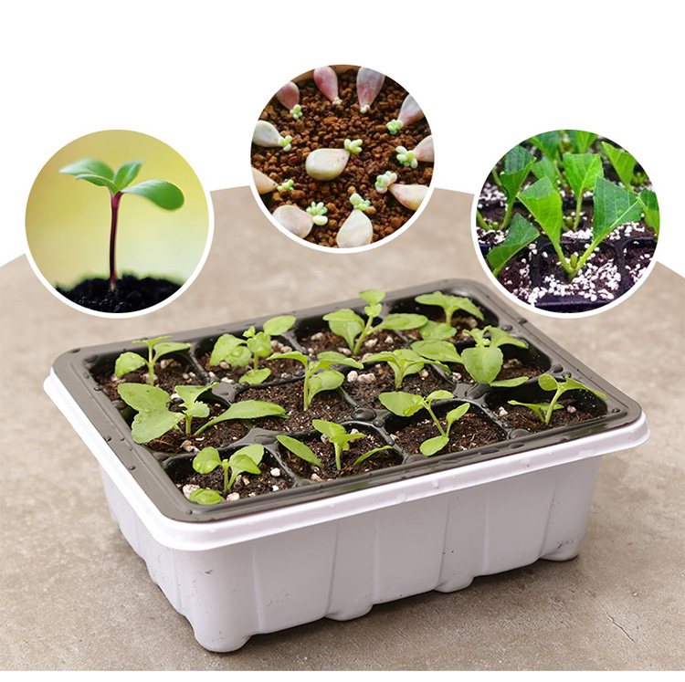 Plastový sadbovač s 12 otvory na sazenice