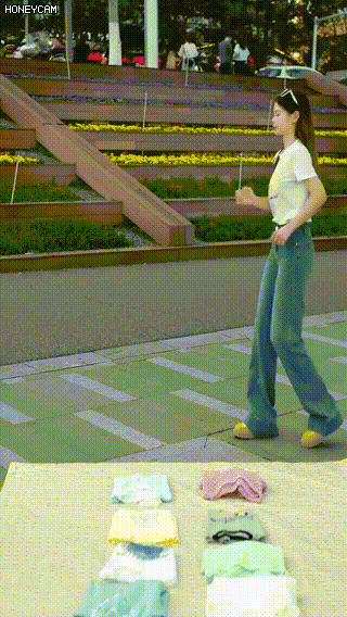 Honeycam 2025-03-19 18-05-29.gif