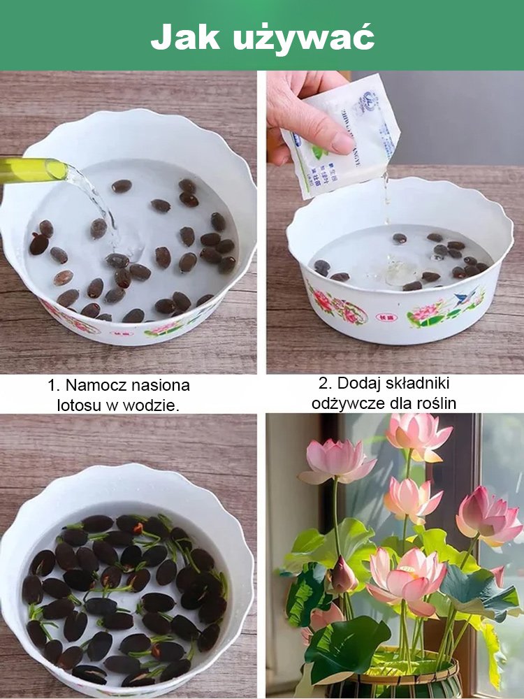 【Może kwitnąć normalnie do -20℃】Zimowe dekoracyjne nasiona lotosu do uprawy wodnej