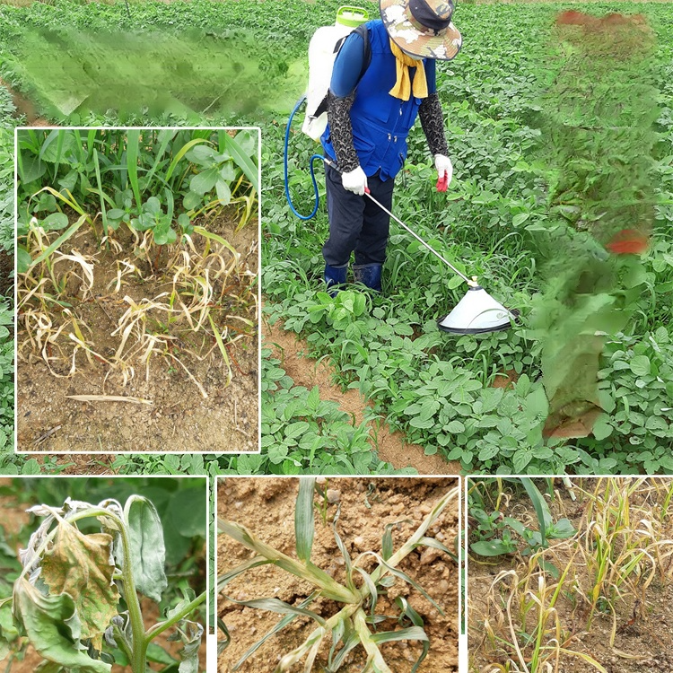 【농림축산식품부 도입 제품】 한 번에 제거, 2년 동안 새로운 잡초 없음, 지속적인 효과