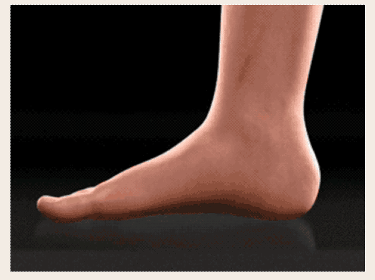 1.gif