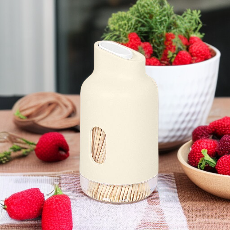 Modern household toothpick container