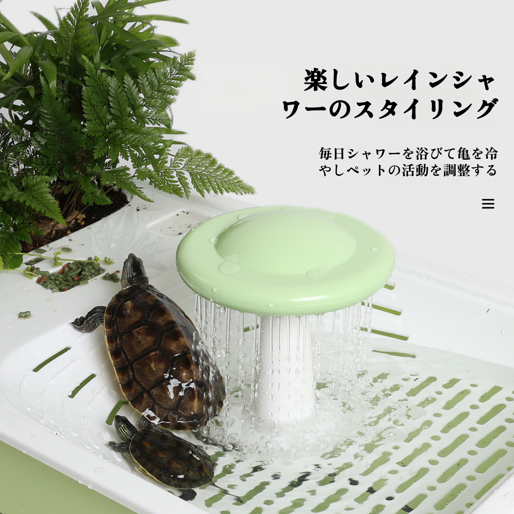 登山プラットフォーム搭載カメ水槽