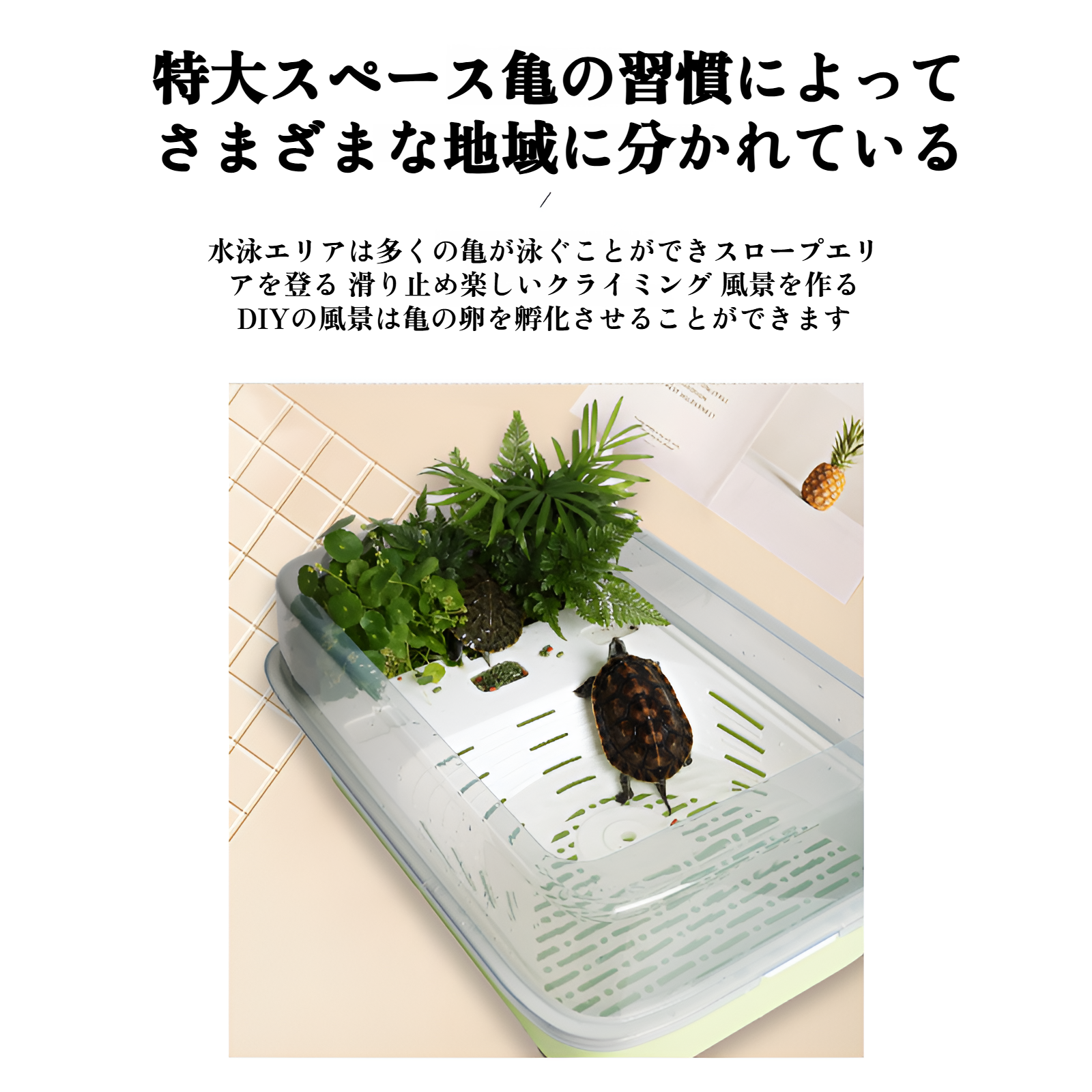 カメ専用水槽 家庭用カメ水槽 カメ日光浴プラットフォーム 登山プラットフォーム カメ用洗面器 脱走防止 別置きカメ用洗面器 プラスチック製カメ飼育箱