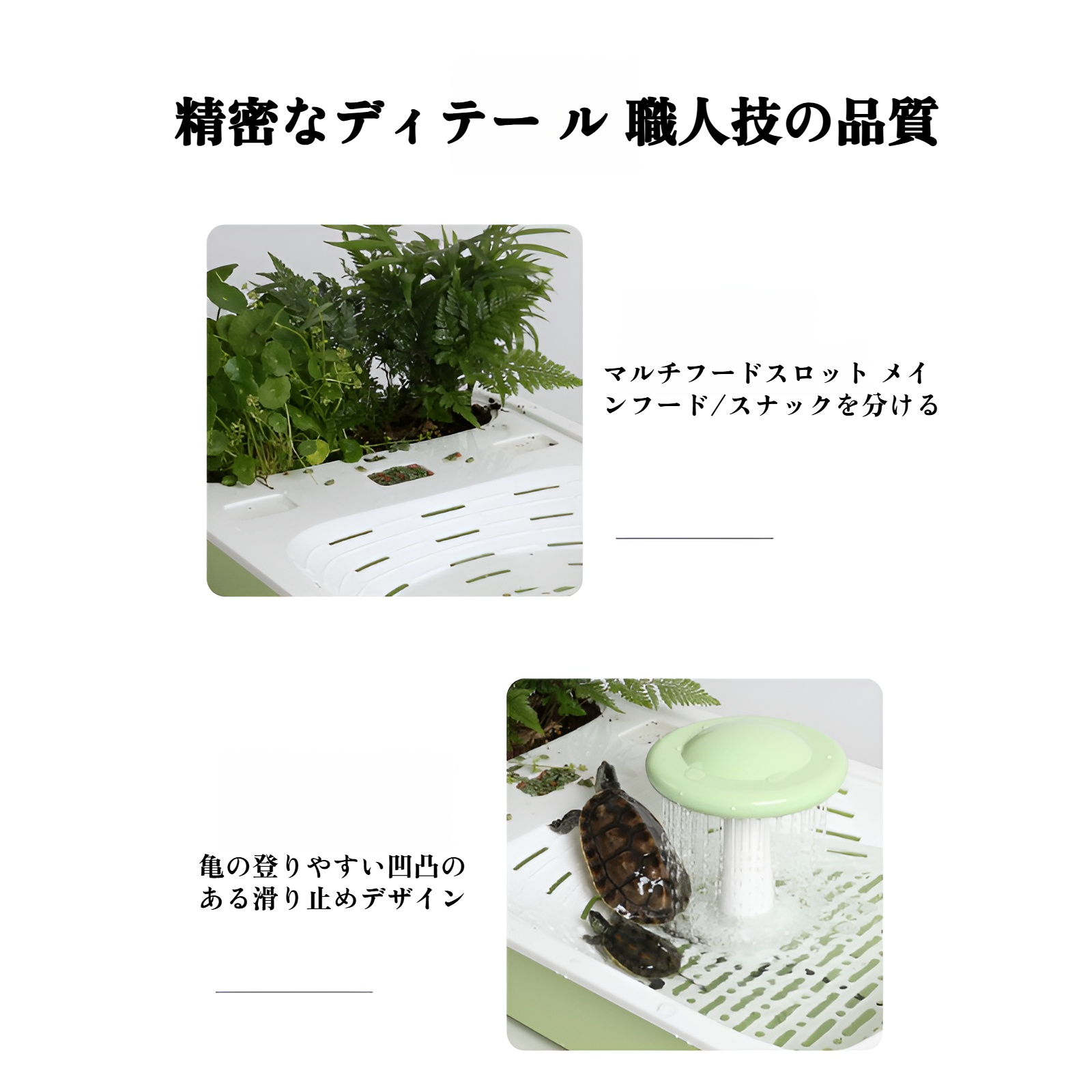 カメが快適に過ごせる多機能水槽