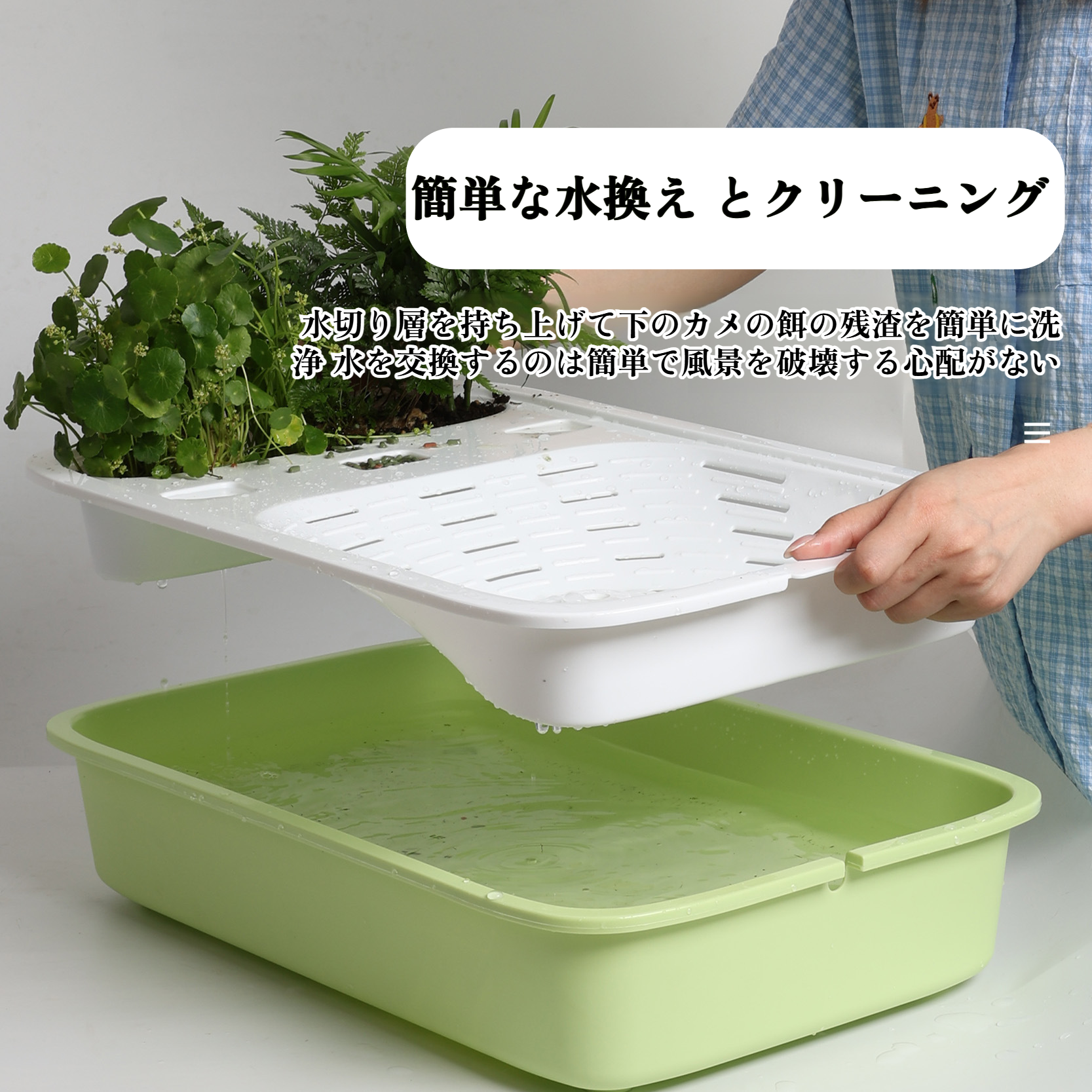 カメ用洗面器として使える水槽