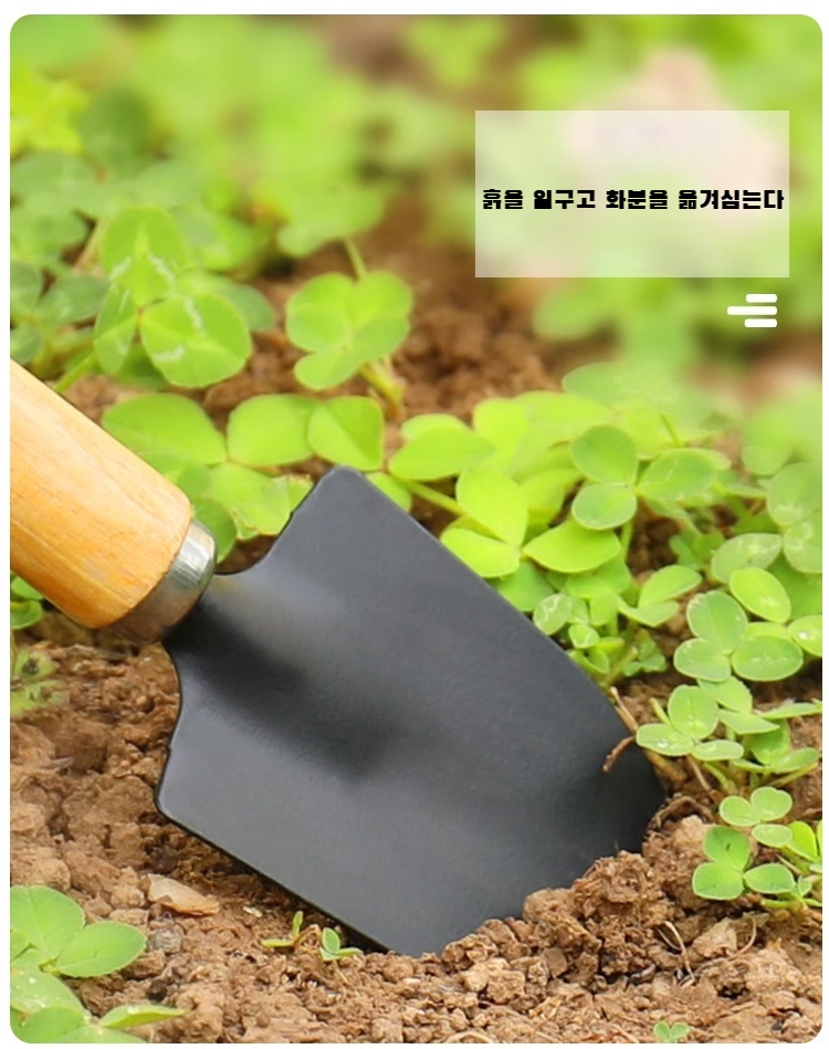 분재와 다육식물 관리에 최적화된 도구