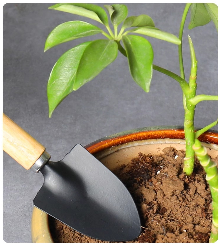 분재원예공구 3종세트 포장 이미지