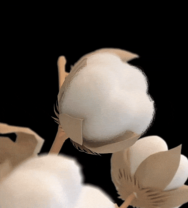 1_21.gif