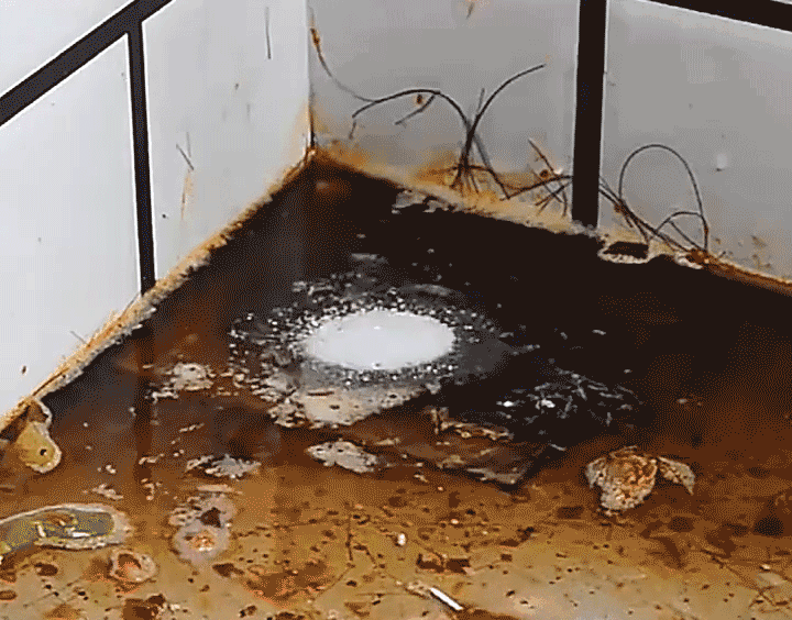 18c7273e5d365ba846afc7b8a6cfa7ae.gif