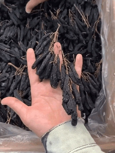 【Koning van de rozijnen】Premium Turpan Blauwe Saffier Rozijnen