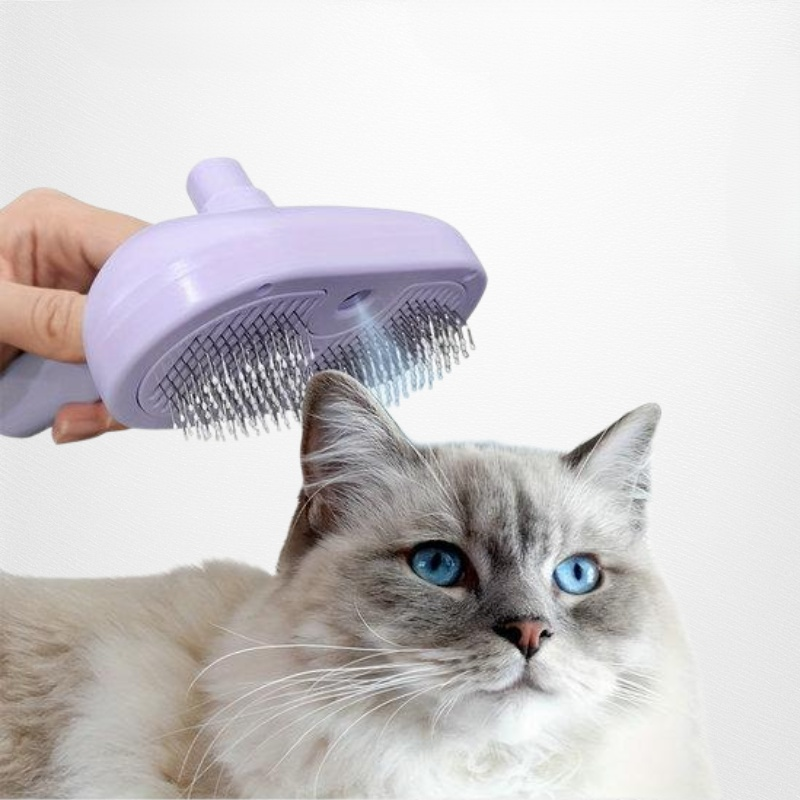 반려동물 미용 빗