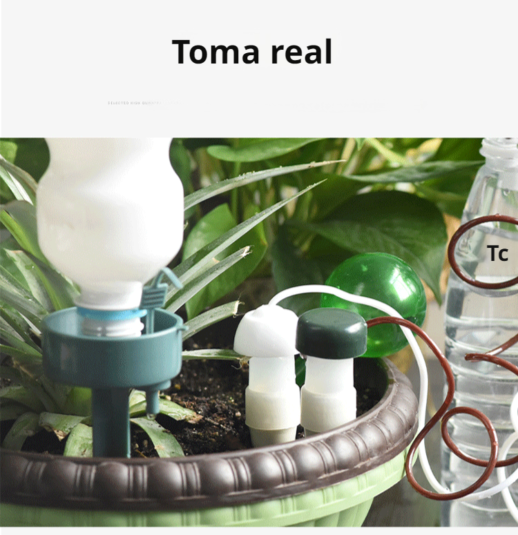 Mantenimiento de plantas sin esfuerzo