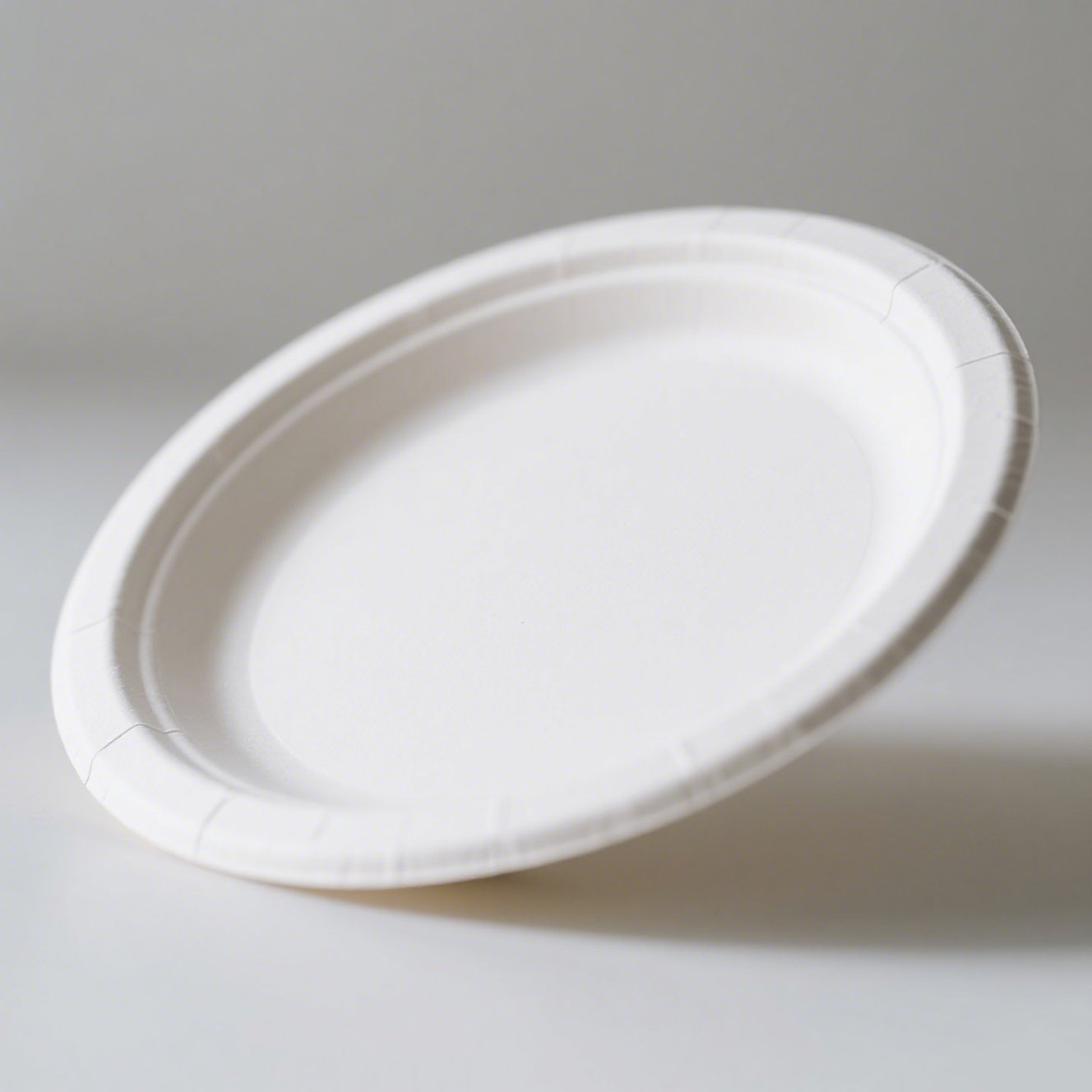 Ekologické papírové jednorázové talíře