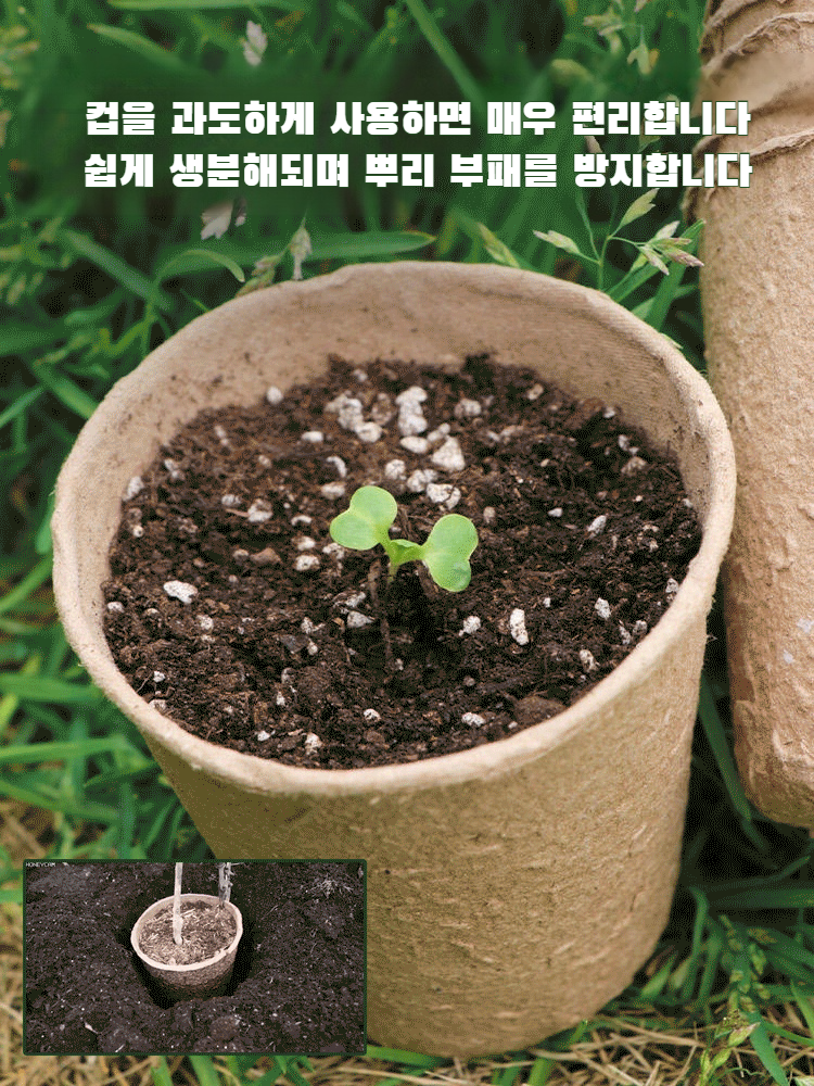 친환경 생물 분해성 페트 화분 친환경 지속 가능한 원예 분해성