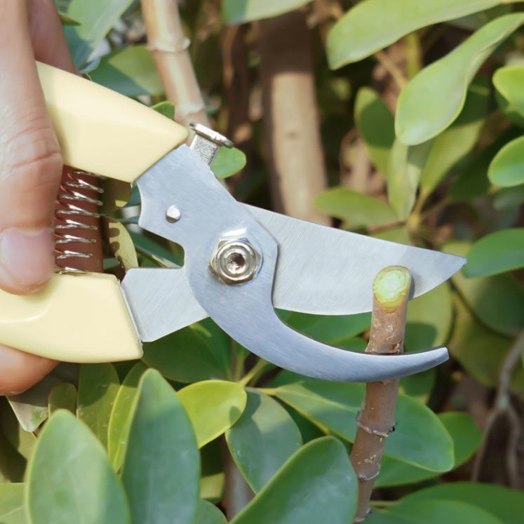 剪定鋏、枝鋏、果樹鋏、花枝鋏、摘果鋏、園芸用細果鋏、摘果鋏
