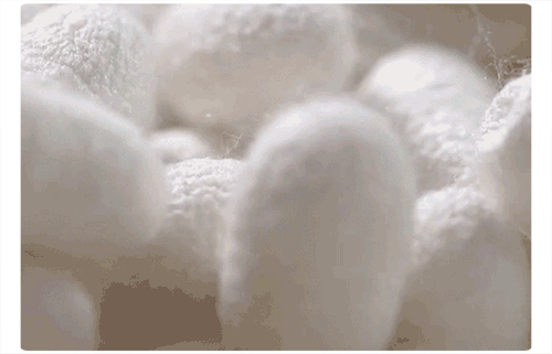 翻译件-HFH-女士缎面光泽衬衣【波光粼粼】-1194450_22.gif