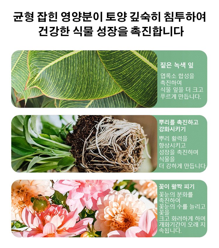 식물 뿌리 발근 비료 성장 촉진 비료