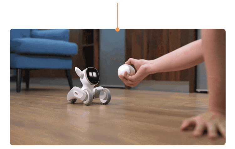 4.gif