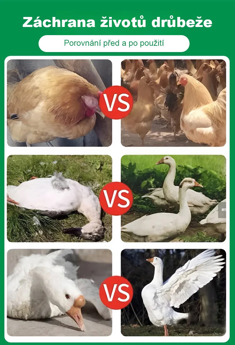 Doplňky krmiva pro drůbež