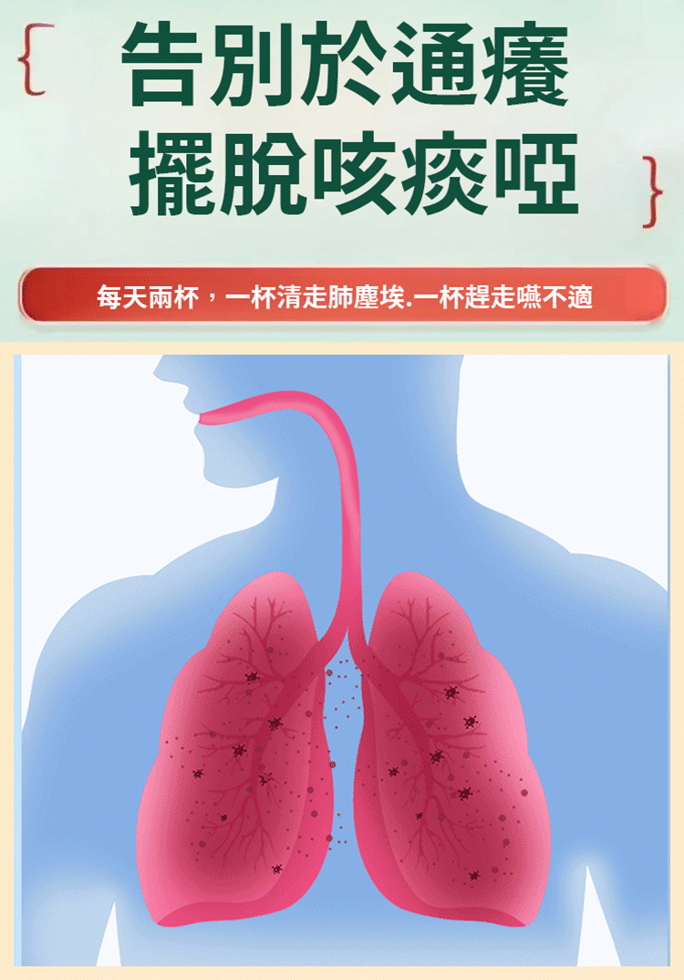 【咽喉伴侶】羅漢果胖大海雪梨茶