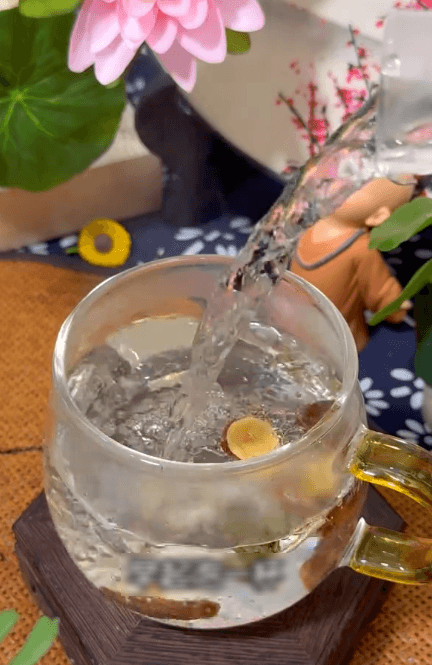 翻译_16+.gif