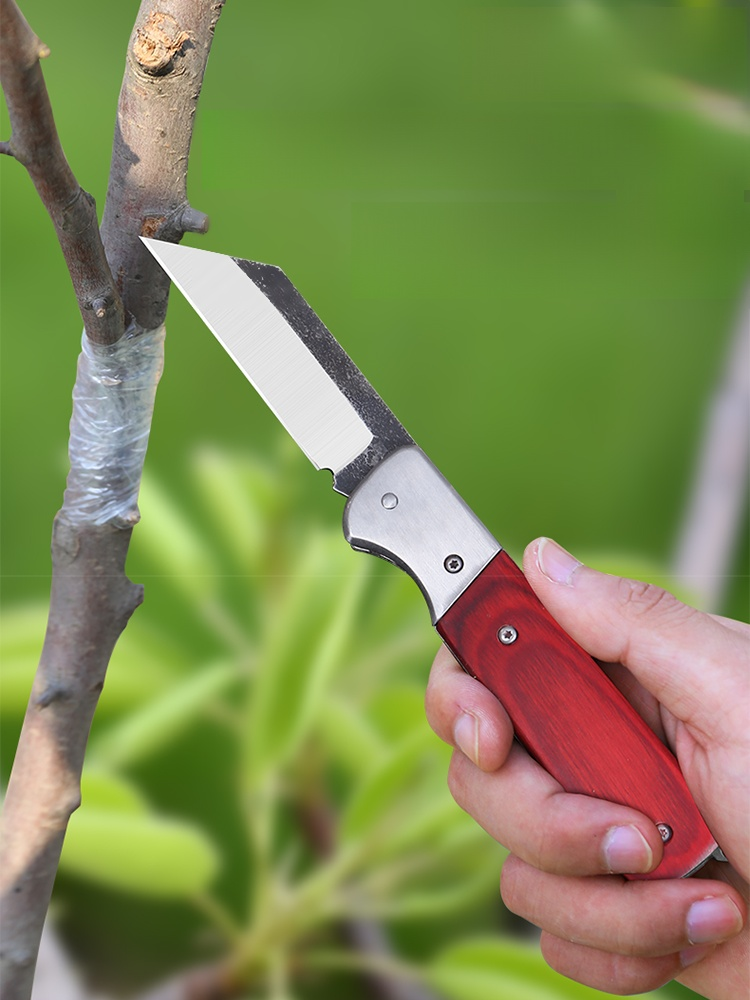 프로 접목용 칼