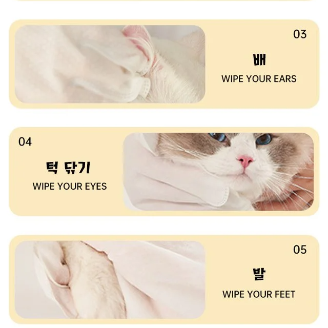 [1장으로 목욕 1번 가능] 애완동물 일회용 스파장갑 물티슈