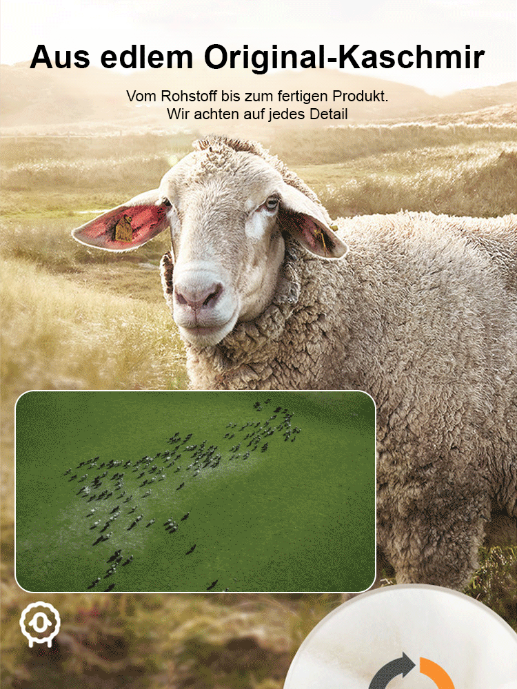 [100 Nächte Probeschlafen, 10 Jahre Garantie] Verdickte Lammwolle Schlafunterstützende Matratze