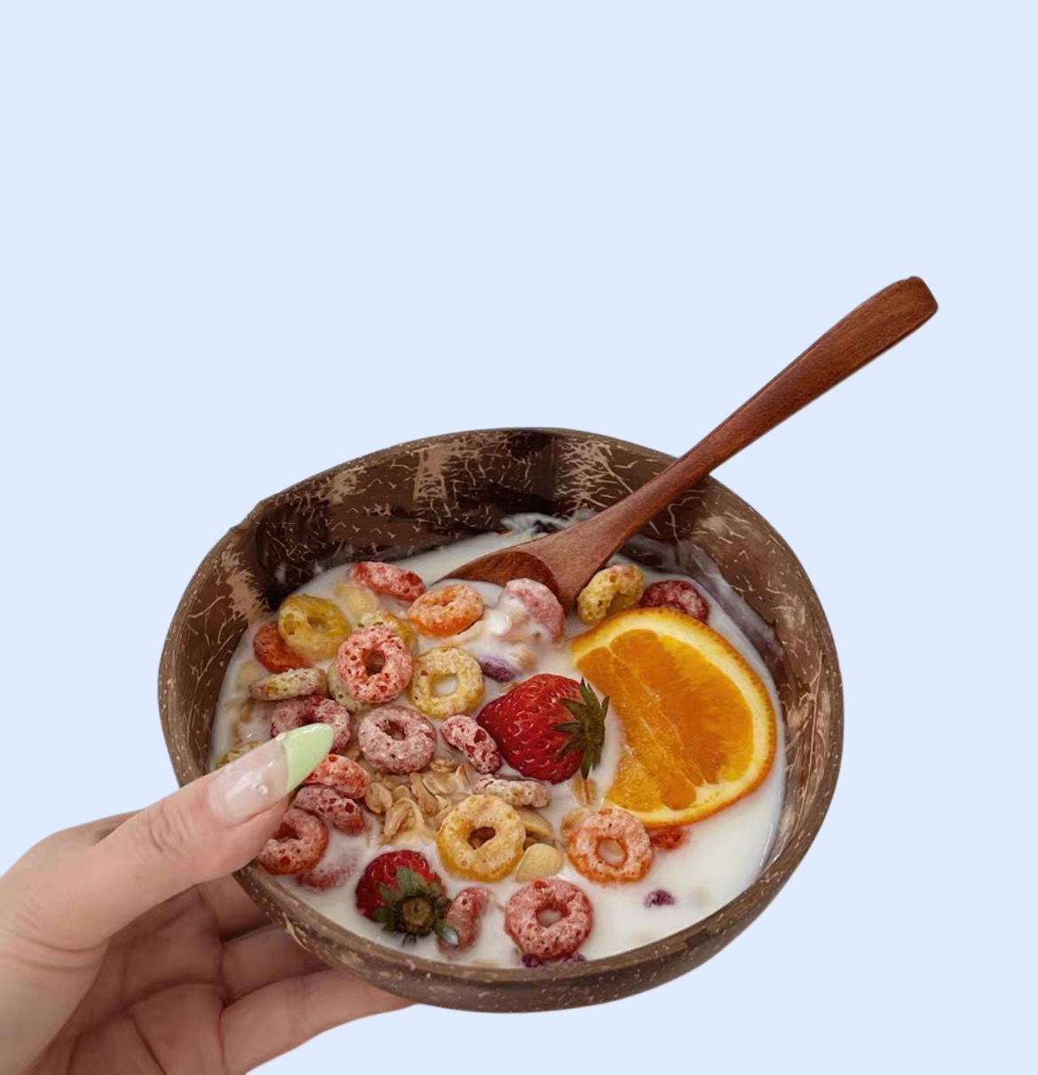 천연 코코넛 껍질 나무 그릇