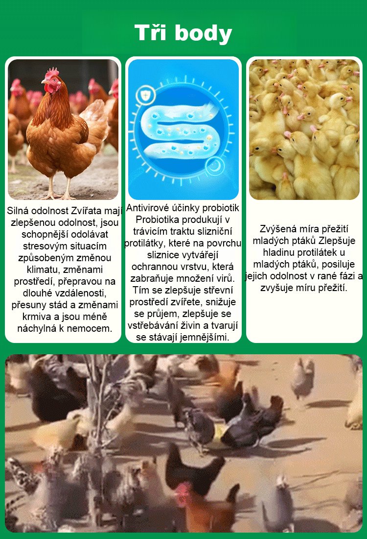 Doplňky krmiva pro drůbež