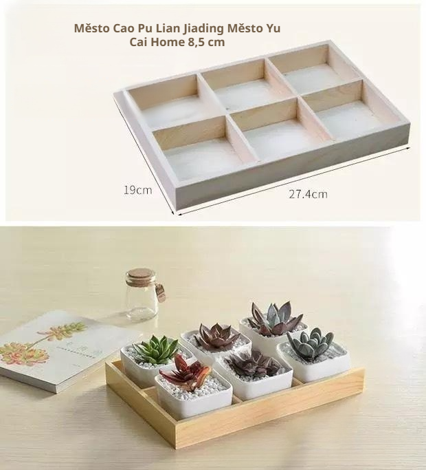 Dekorativní květináč pro pěstování sukulentů