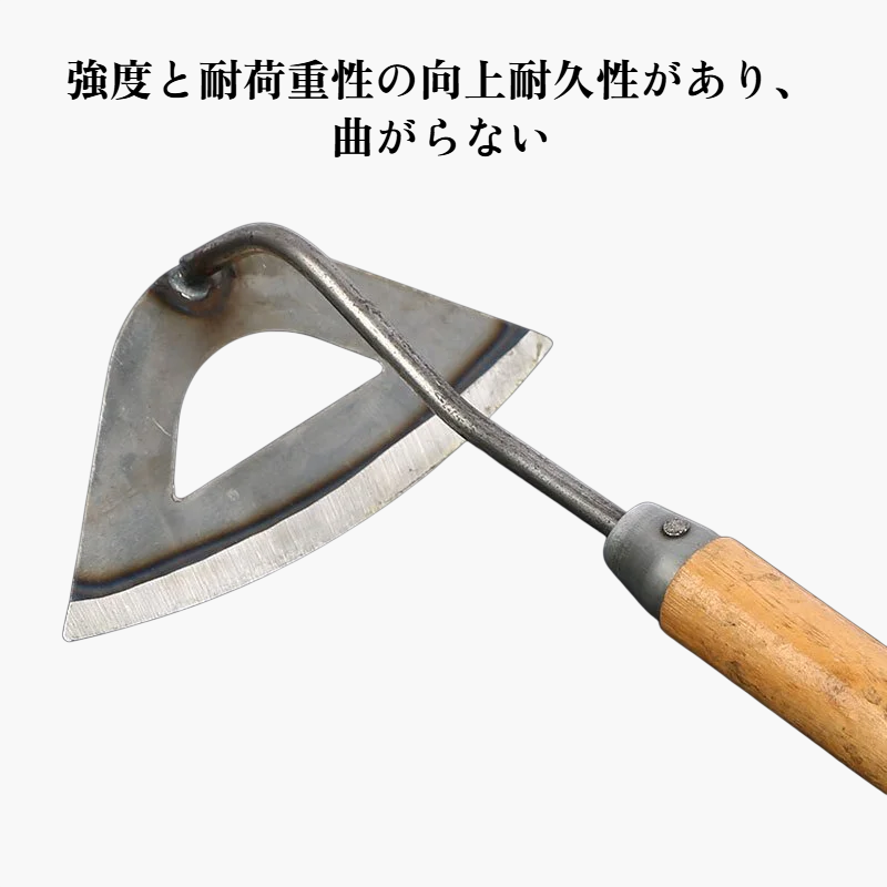 图片2_看图王.web.png