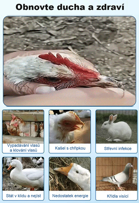 Doplňky krmiva pro drůbež