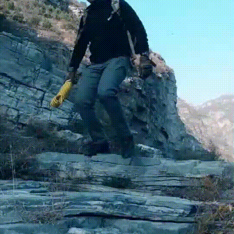 5.gif
