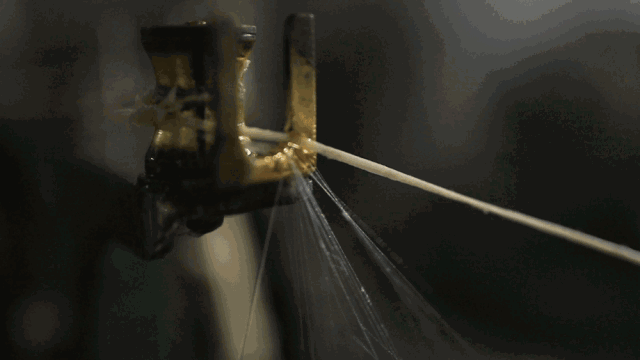 1600160985157460.gif