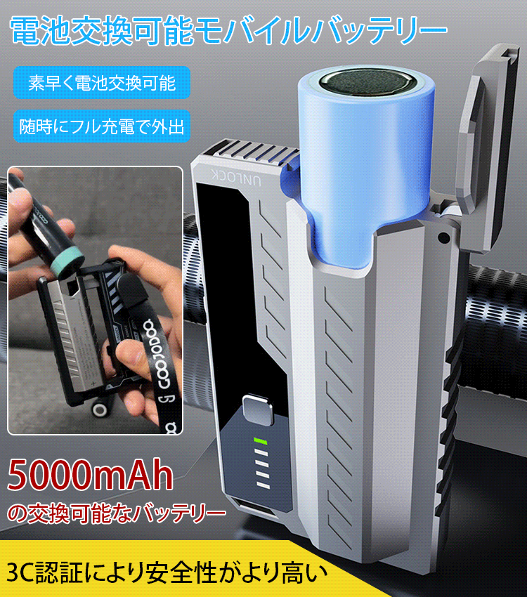 電池交換可能モバイルバッテリー