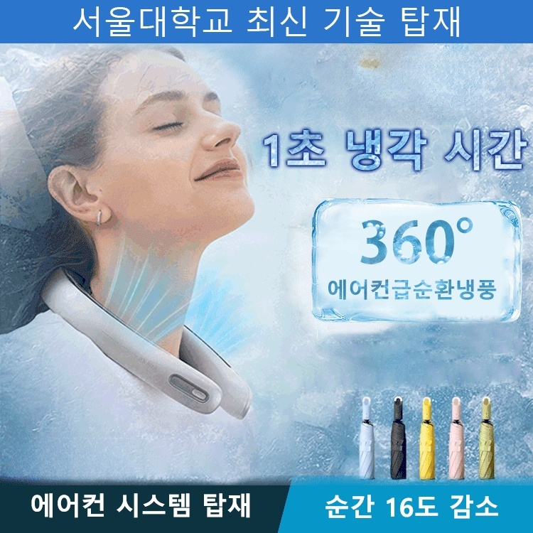 전문가급 파시아 건