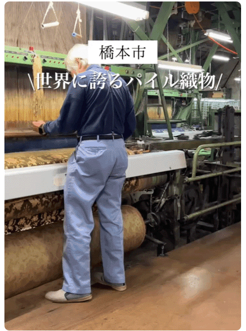 衬衫_18.gif