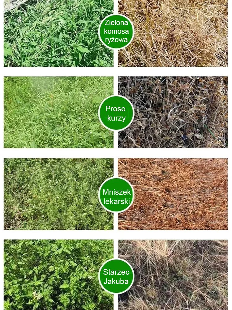 Bezpieczny oprysk na chwasty – chroni uprawy i glebę, płyn odżywczy