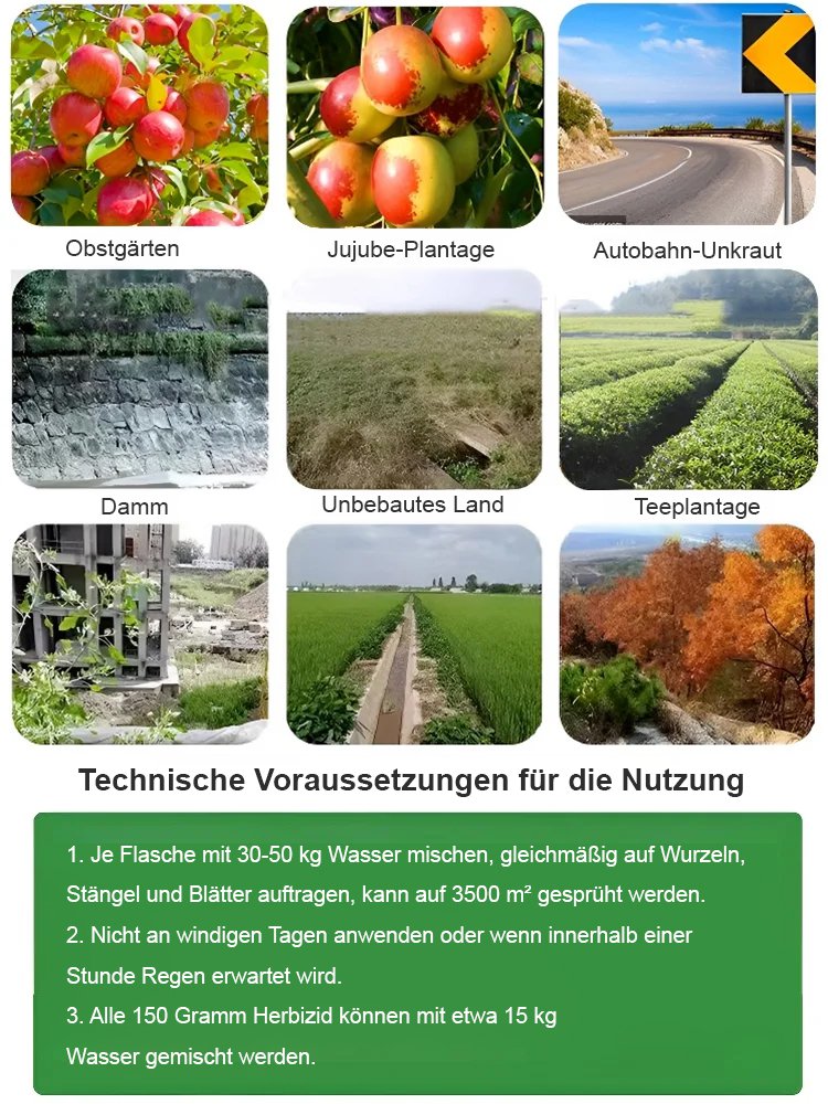  Hohenheim Agrar | TÜV-geprüftes L-Glufosinat, 1x Sprühen = ganzjährig unkrautfrei 