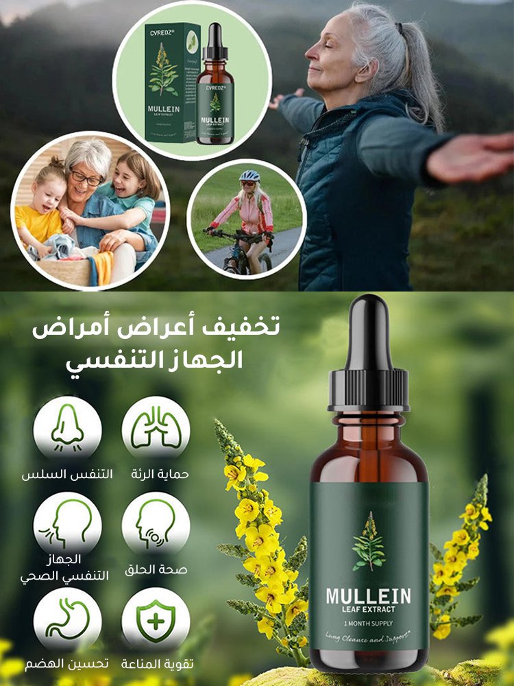 قطرات مستخلصات أوراق وأزهار فيرباسكوم ثابسوس غذائية لتنقية الرئتين وتغذيتها