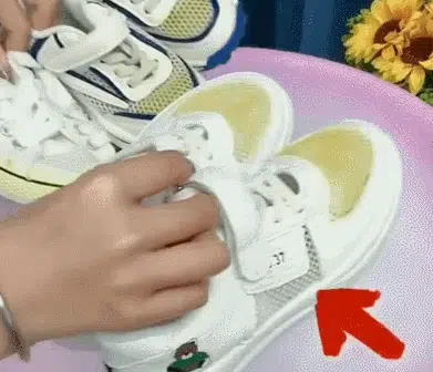 未标题-1_15.webp