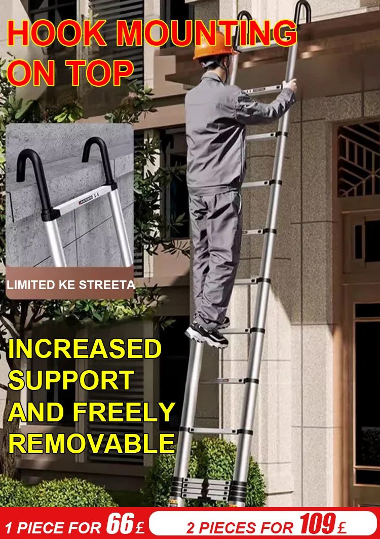 Multifunctional Telescopic Ladder