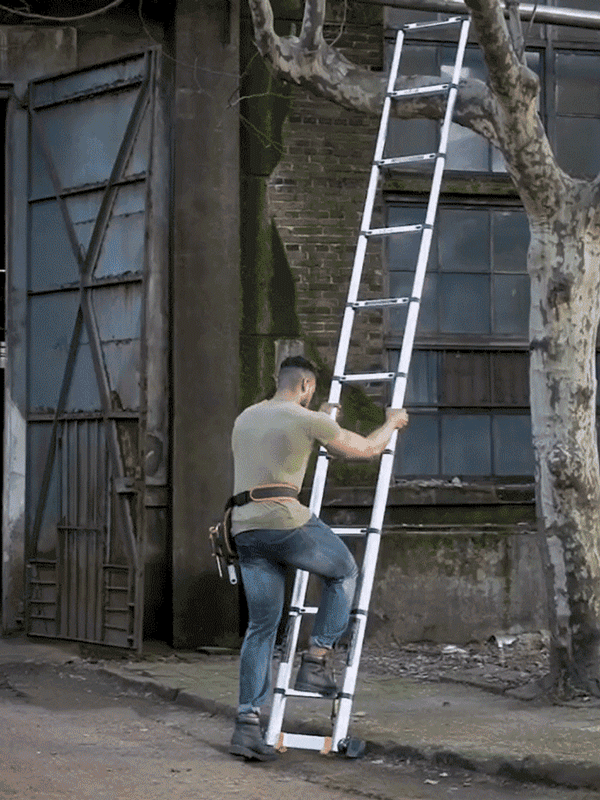 다기능 신축식 사다리