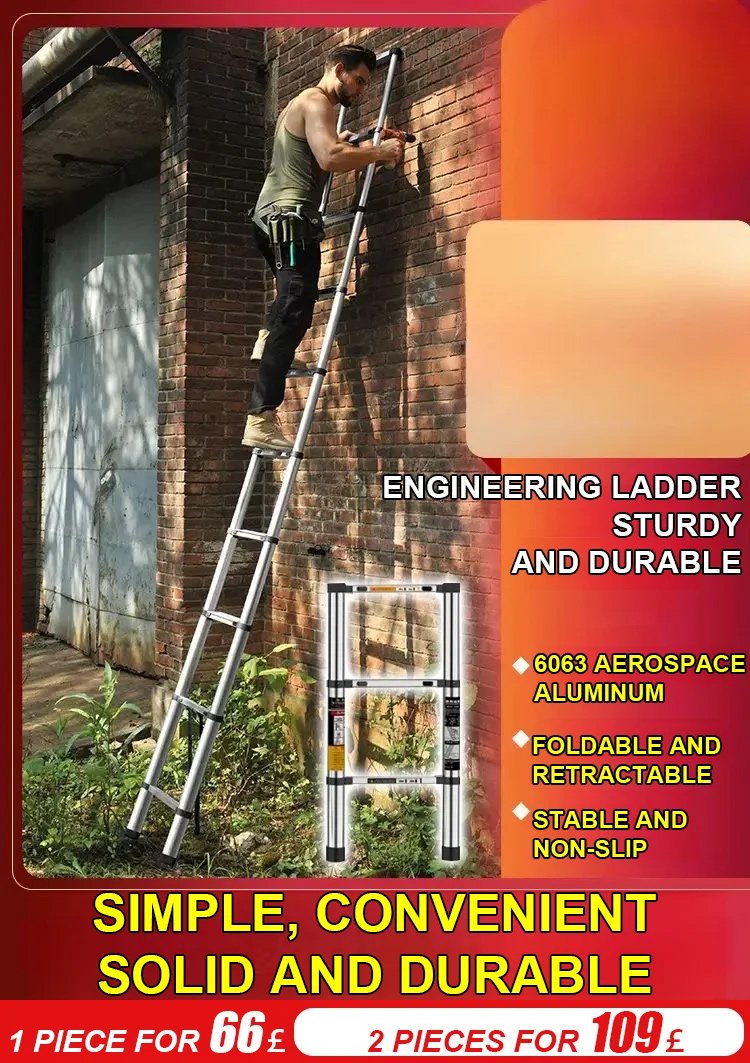 Multifunctional Telescopic Ladder