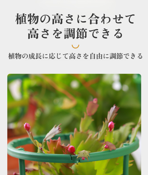 花と植物用のフラワーラック設置イメージ