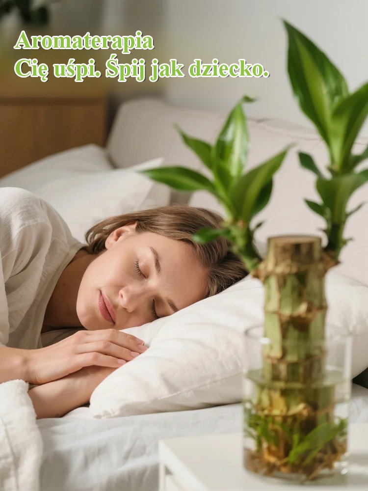 【Szczęście się odwraca】Hydroponiczna szczęśliwa roślina w doniczce