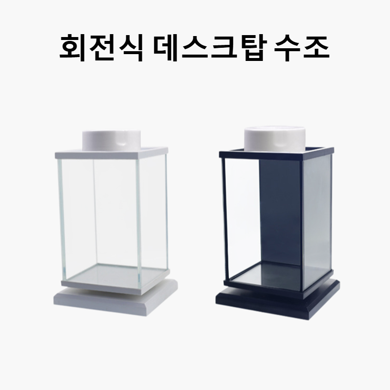 창의적인 장식용 물고기 탱크