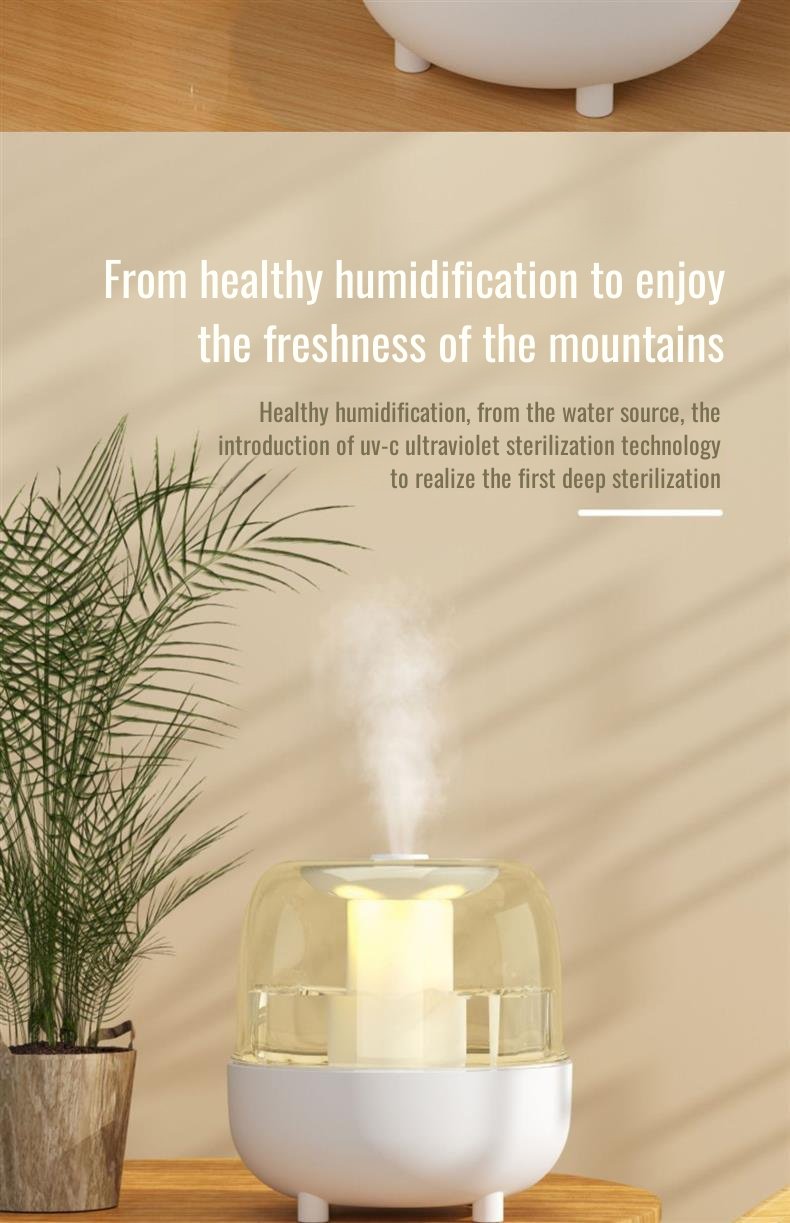 Desktop humidifier with large water tank for extended use